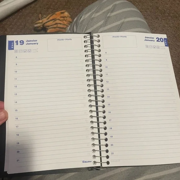 Blue line planner - Picture 2 of 2